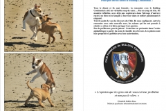 Les Belles Truffes - Bulldog Continental - Livre édition 2021