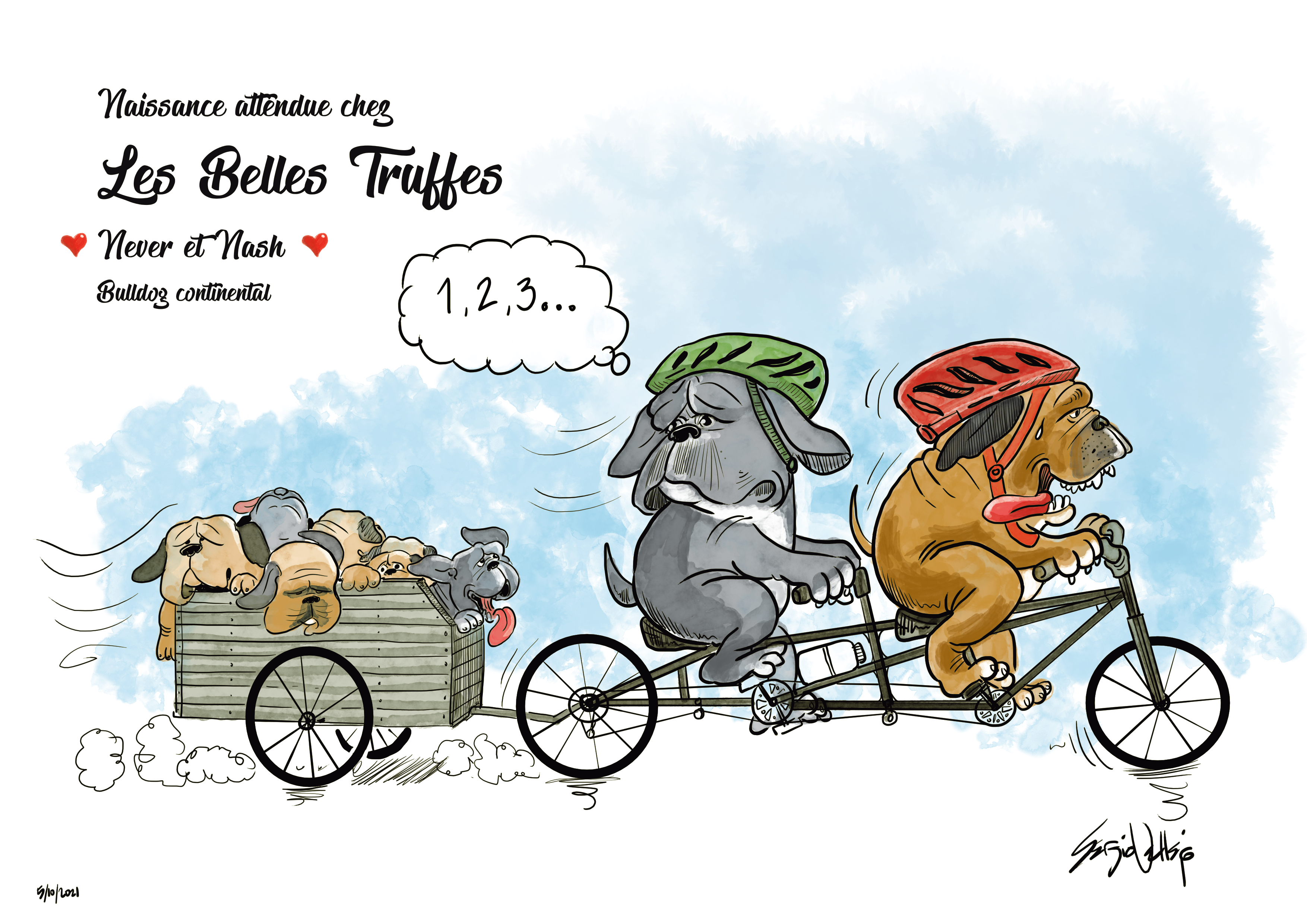 les belles truffes-bulldog-continental-naissance