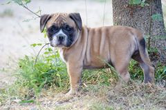 S'PHEOBE DES BELLES TRUFFES