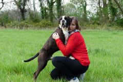 Les Belles Truffes - Balades Boxers 2020