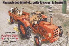 Les Belles Truffes - Caricature Sergio Vallejo