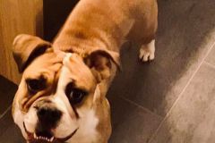 Kara des Belles Truffes