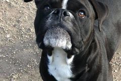 Paulo des Belles Truffes