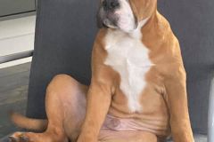 Raymond des Belles Truffes