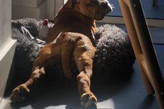 Raymond des Belles Truffes