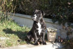 Régine des Belles Truffes