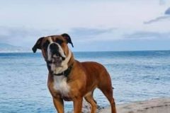 Rita des Belles Truffes