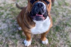 R'Nest des Belles Truffes