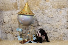 Sherry des Belles Truffes