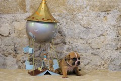 S'Alecto des Belles Truffes