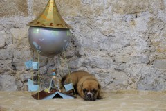 Sanka des Belles Truffes