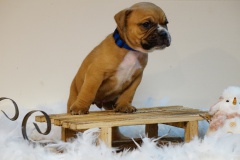 Sanka des Belles Truffes