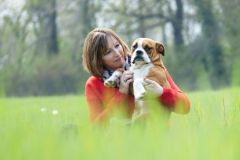 Les Belles Truffes - Elevage - Bulldog Continental - Femelle - Pin'Up des Belles Truffes