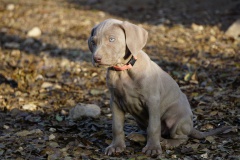 Sunny des Belles Truffes