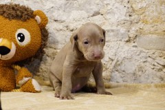 Soprano des Belles Truffes