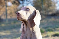 Stan des Belles Truffes