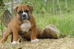 R'Nest des Belles Truffes