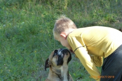 Les Belles Truffes - Bulldog Continental - Femelle - Oxane (sans affixe)