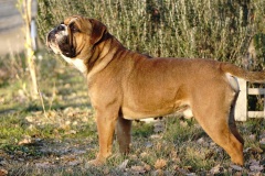 SPARROW JACK DES BELLES TRUFFES