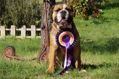 SPARROW JACK DES BELLES TRUFFES