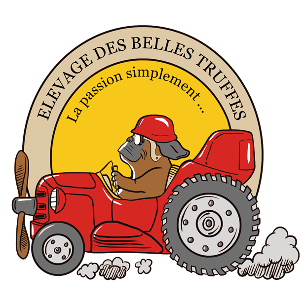 logo-pour-photos-bis