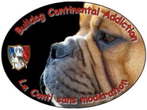 Les Belles Truffes - Groupe Facebook - Bulldog Continental Addiction