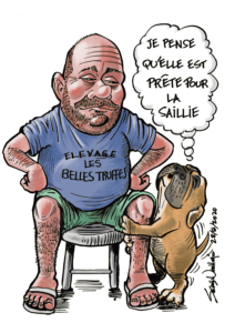 les belles truffes-bulldog continental-saillie