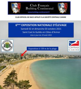 Belles Truffres - Elevage - Bulldog Continental - Nationale d'Elevage 2021