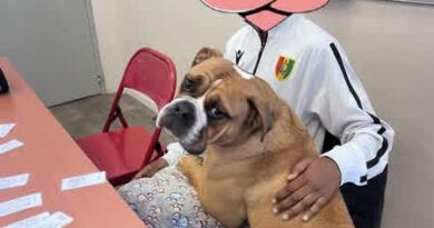 Zoothérapie avec Forest des Belles Truffes