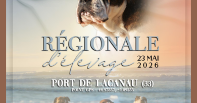 REGIONALE D&rsquo;ELEVAGE 23 MAI 2026 A LACANAU (33)