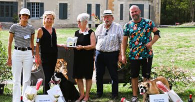 Nos résultats pour cette 11ème Nationale d&rsquo;Elevage 2026 du Bulldog Continental